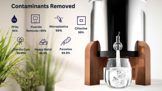 Phoenix Water Filter - Contaminant Removal Capabilities Banner