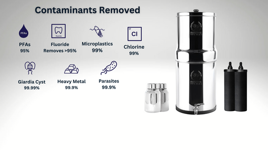 Importance of Water Dispensers