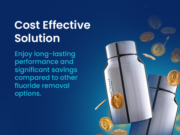 POSTreat™ Steel Fluoride & Arsenic Reduction Filter Elements