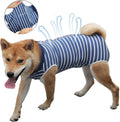 Dog Recovery Suit for Abdominal Wounds, Breathable Dog Surgery Recovery Suit for Dogs, E-Collar Alternative - MDM Australian