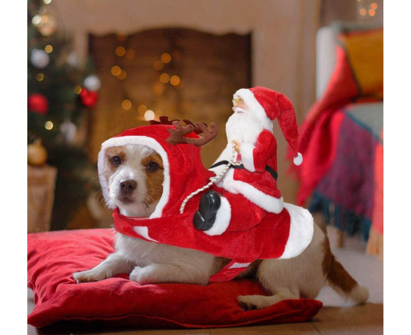 Santa Dog Costume Christmas Pet Clothes Santa Claus Riding Pet Costumes Party Dressing Up Dogs Cats Outfit For Small Medium Dogs Cats