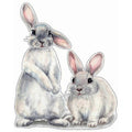 30*40cm Typography Wall Sticker Two Cute Rabbits babies Room - MDM Australian