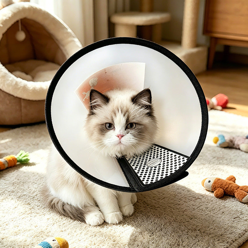 Classic Elizabethan Collar - Anti-Licking Collar - Multiple Sizes - Adjustable - Bite-Resistant - Transparent - Flea & Tick Prevention & Anti-Licking - Velcro Closure - For Cats & Dogs -27-31CM - 1 Piece
