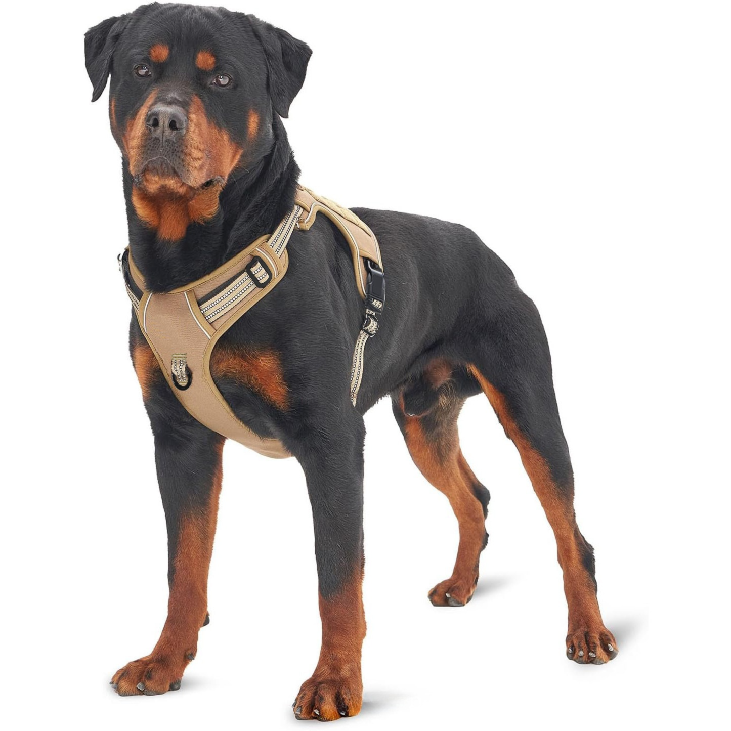 Purple Professional Adjustable Tactical Dog Mesh Harness - Reflective No-Pull Pet Vest with Control Handle (M Size for Weight 30-50 lbs)