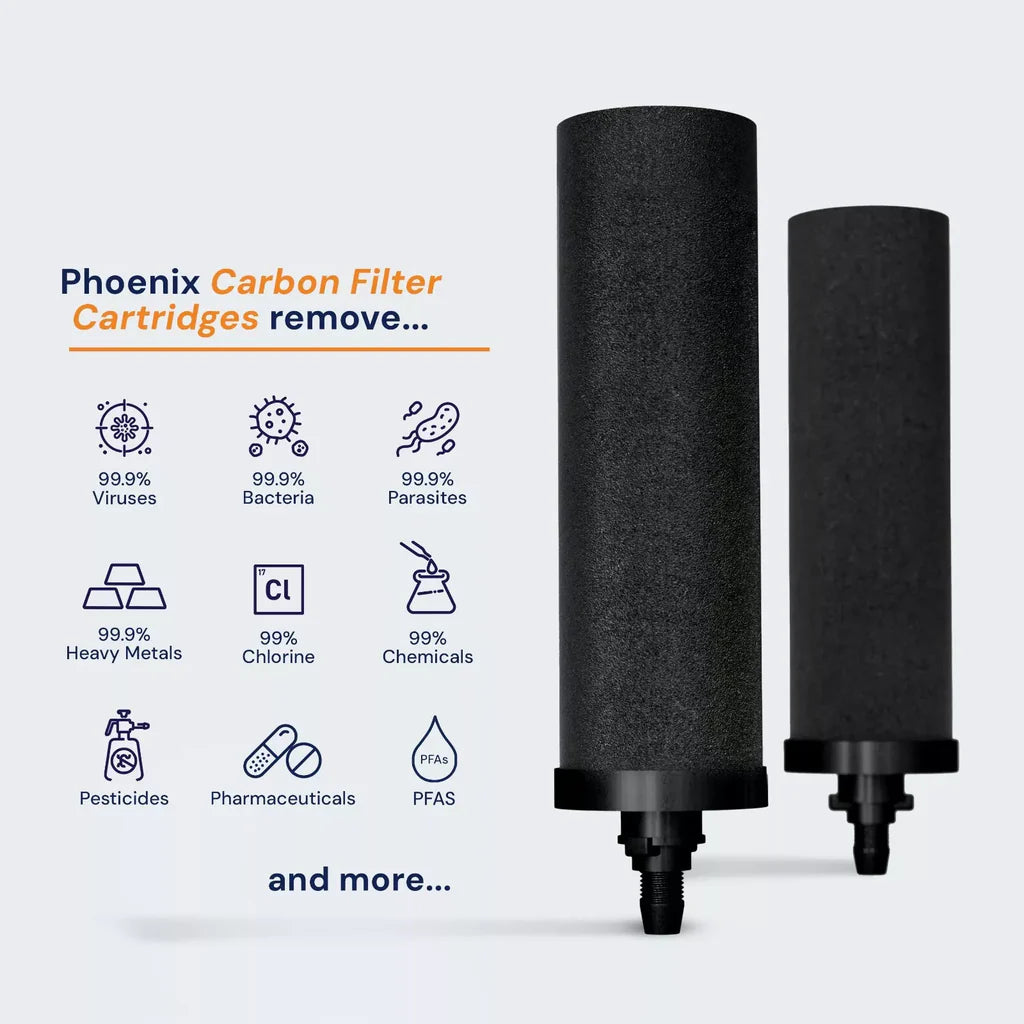 Phoenix Stainless Steel 6L with Fluoride & Smart Carbon Filter