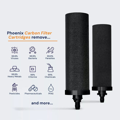 Phoenix Stainless Steel 6L with Fluoride & Smart Carbon Filter